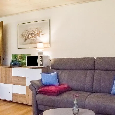 Appartement Oberengenbachhof à Eisenbach  Extérieur photo