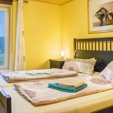 Appartement Oberengenbachhof à Eisenbach  Extérieur photo