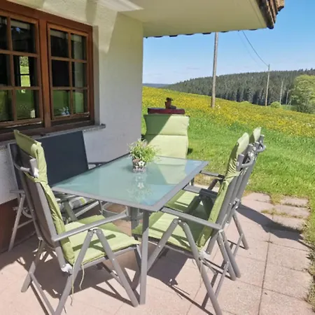 Appartement Oberengenbachhof à Eisenbach  Extérieur photo