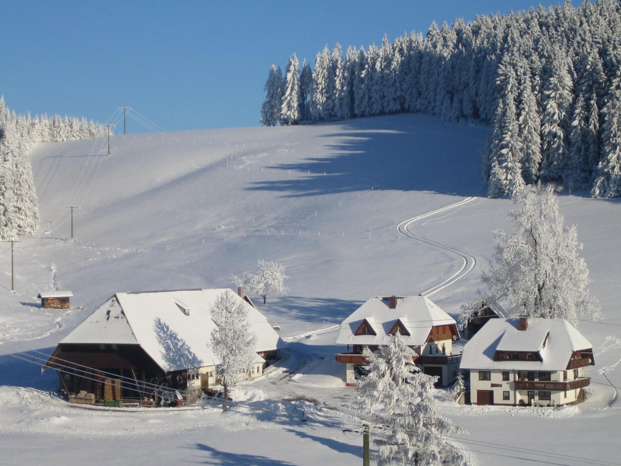 Oberengenbachhof