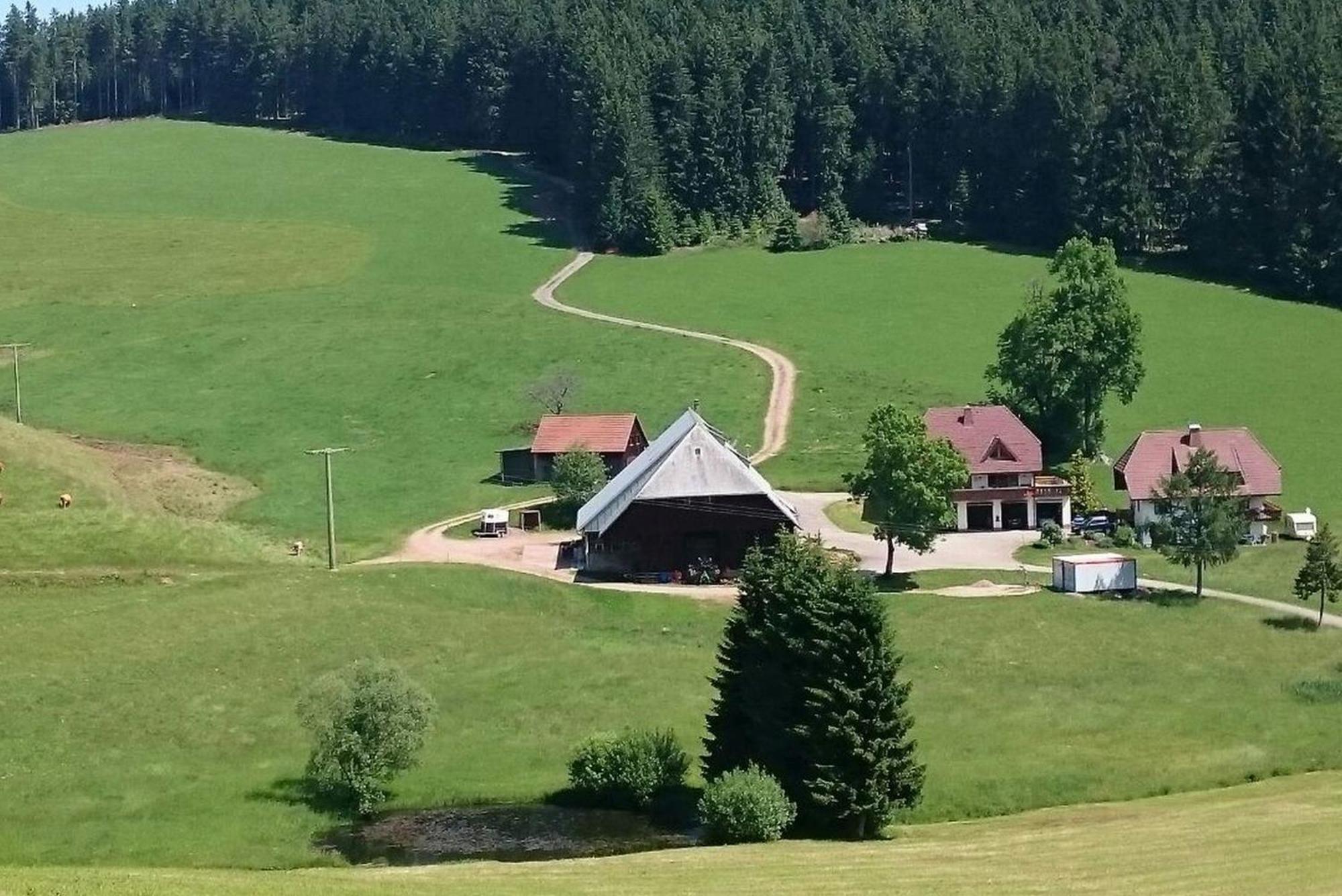 Oberengenbachhof Apartment